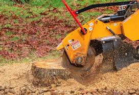 Best Aeration Services  in Algonquin, MD